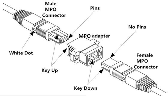 Puente los 2m (los 6ft) OS2 9/125 del conector hembra del cable de la fibra óptica MPO 24 solos modos de la base