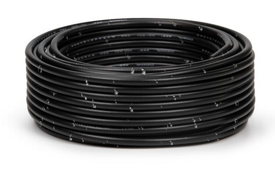 Cable coaxial masculino de la cámara RG179 RF del cine del cable de extensión del cable de vídeo BNC de HD SDI BMCC Blackmagic